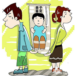 哈尔滨怎么样偷偷做亲子鉴定，哈尔滨亲子鉴定办理条件