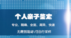 哈尔滨个人想办理血缘检测需要怎么办理，哈尔滨亲子鉴定办理流程指南