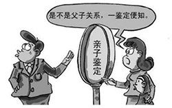 在哈尔滨哪些医院能做亲子鉴定，哈尔滨医院做亲子鉴定详细的流程