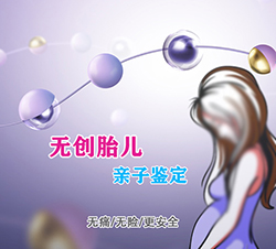 哈尔滨胎儿亲子鉴定到哪里办理