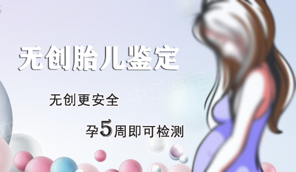哈尔滨怀孕35天如何办理无创产前亲子鉴定,哈尔滨做无创孕期亲子鉴定办理费用
