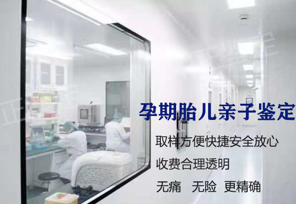 哈尔滨孕期如何办理亲子鉴定,哈尔滨怀孕血缘检测办理方法
