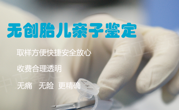 哈尔滨孕期如何办理亲子鉴定,哈尔滨怀孕血缘检测办理方法