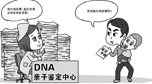 哈尔滨在哪亲子鉴定,哈尔滨亲子鉴定收费明细